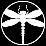 NinjaTB_Dragonfly-Mon